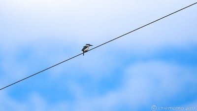 ケアンズ周辺2日間写真撮影ツアー報告