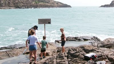 IMG_0236