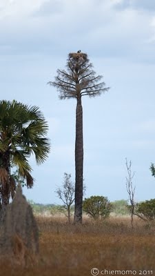 JUN_4485