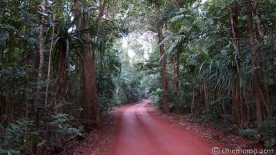 IMG_0221